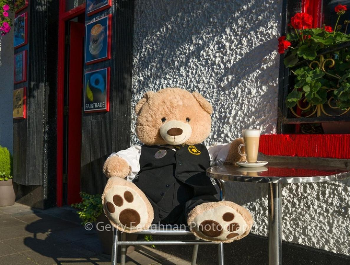 Bush Hotel County Leitrim Экстерьер фото